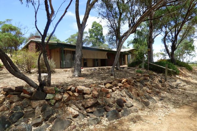 Picture of 100 Hasson Pl, COONDLE WA 6566
