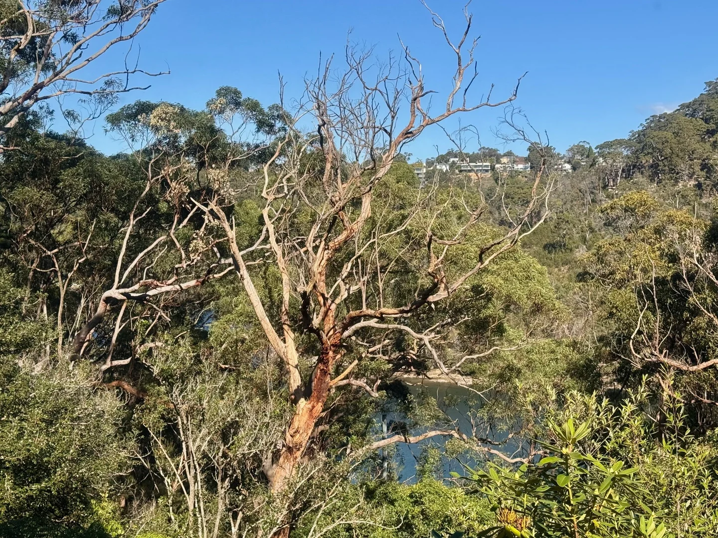 Additional image 17 of 10 Cherry Place, Castle Cove NSW 2069