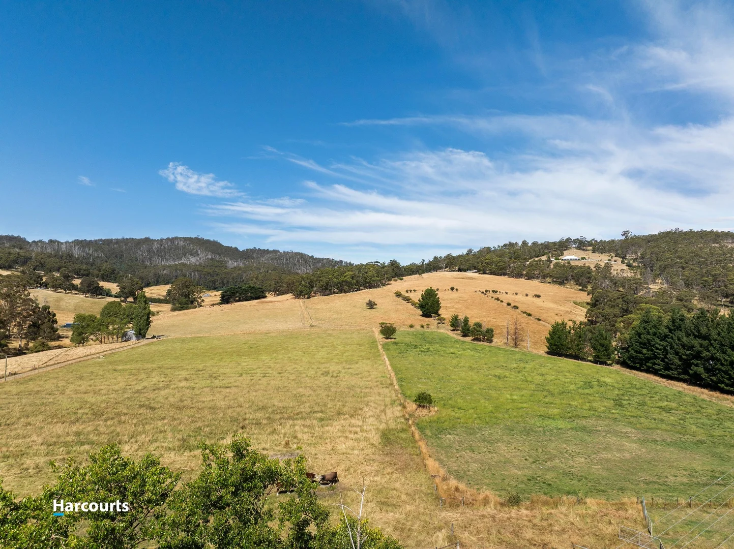 Additional image 19 of 1224 Cygnet Coast Road, Lower Wattle Grove TAS 7109