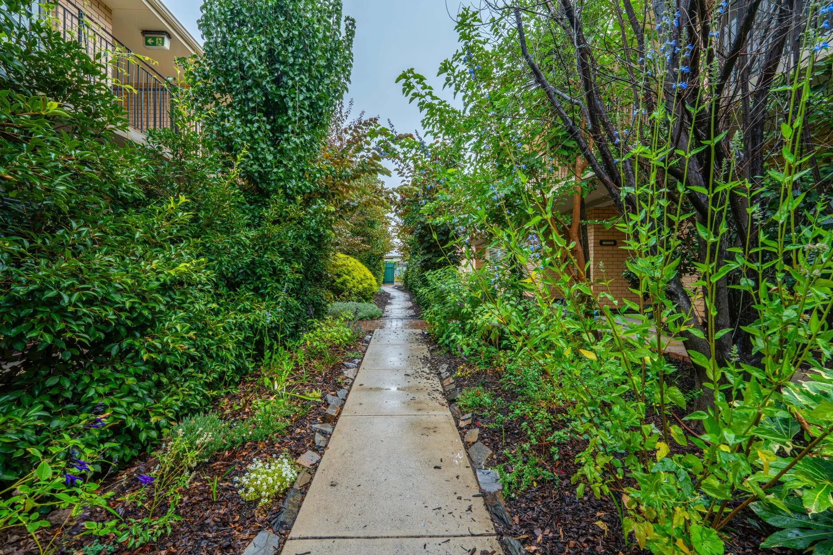Image 13