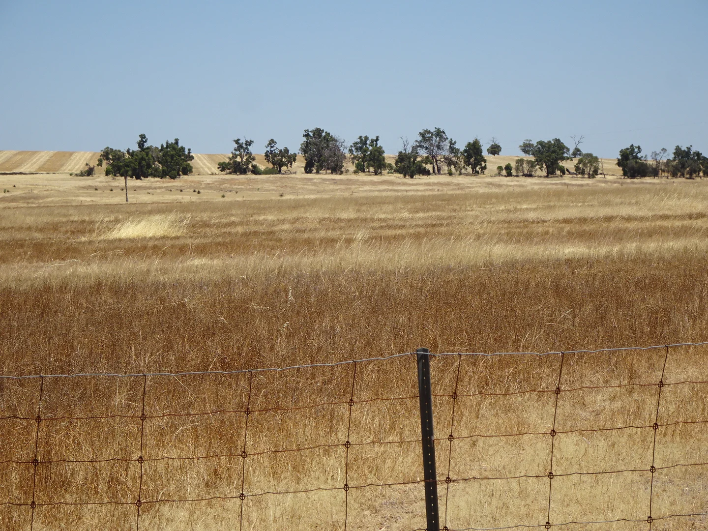 Image 10