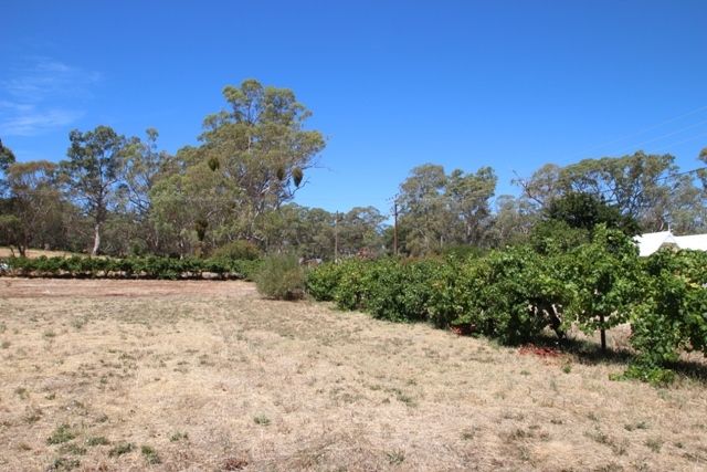 Lot 3 Horrocks Road, Penwortham SA 5453, Image 2