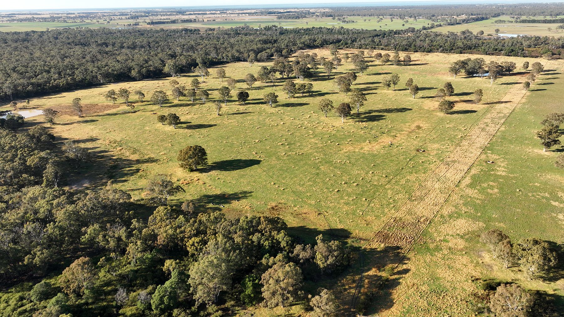 1131 Reservoir Road, Munro VIC 3862 House for Sale Domain