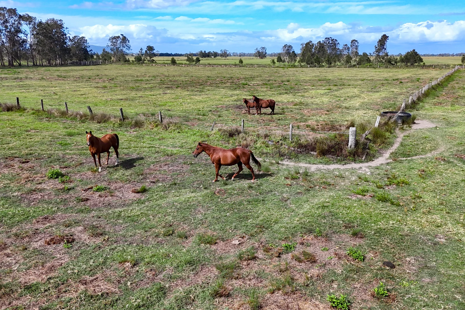 Additional image 9 of Two Hills Lane, Clybucca NSW 2440