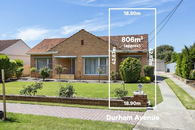 Picture of 3 Durham Avenue, LOCKLEYS SA 5032