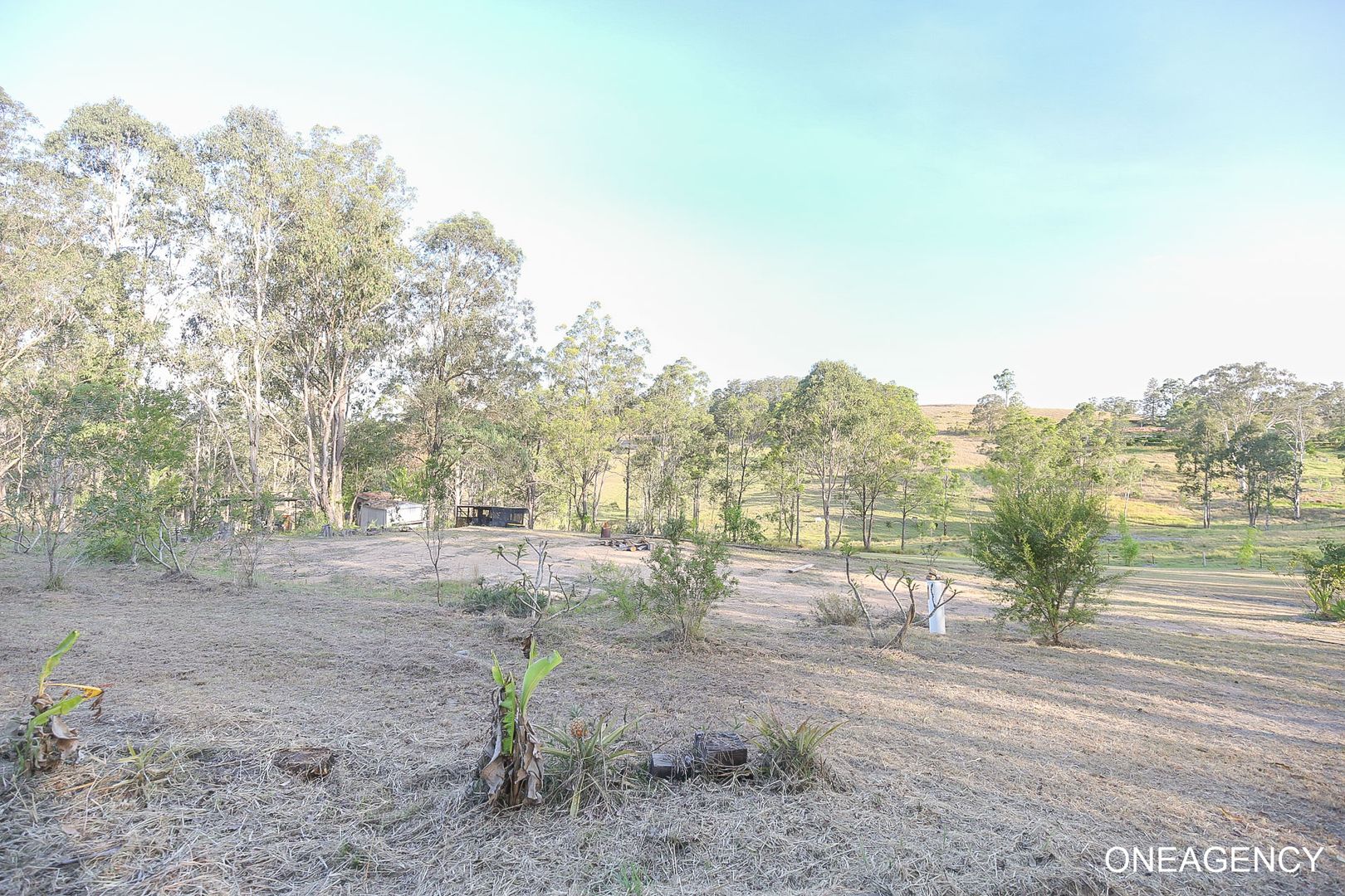 2716 Armidale Road, Hickeys Creek NSW 2440, Image 2