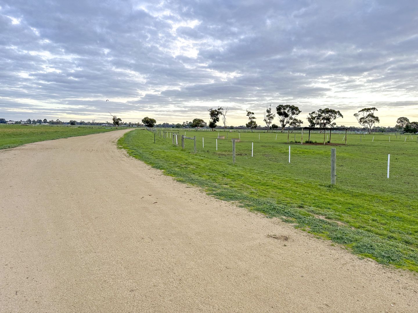 215 Graham Road, Lancaster VIC 3620 Specialist Farm for Sale