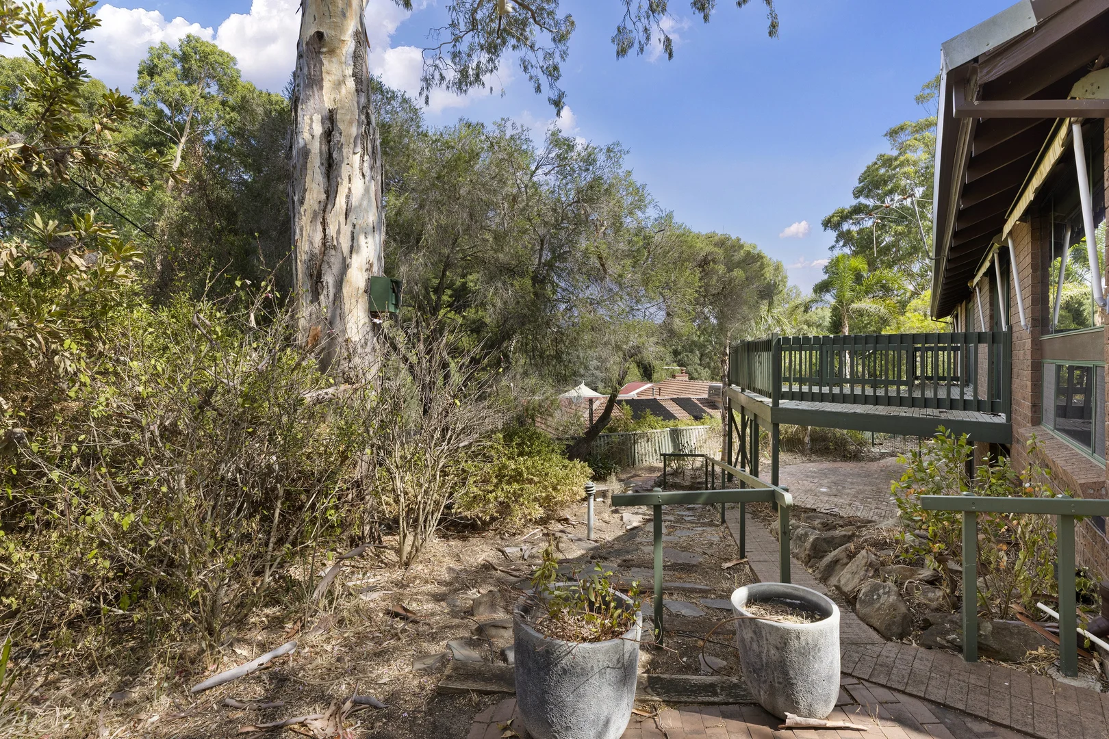 Image 15