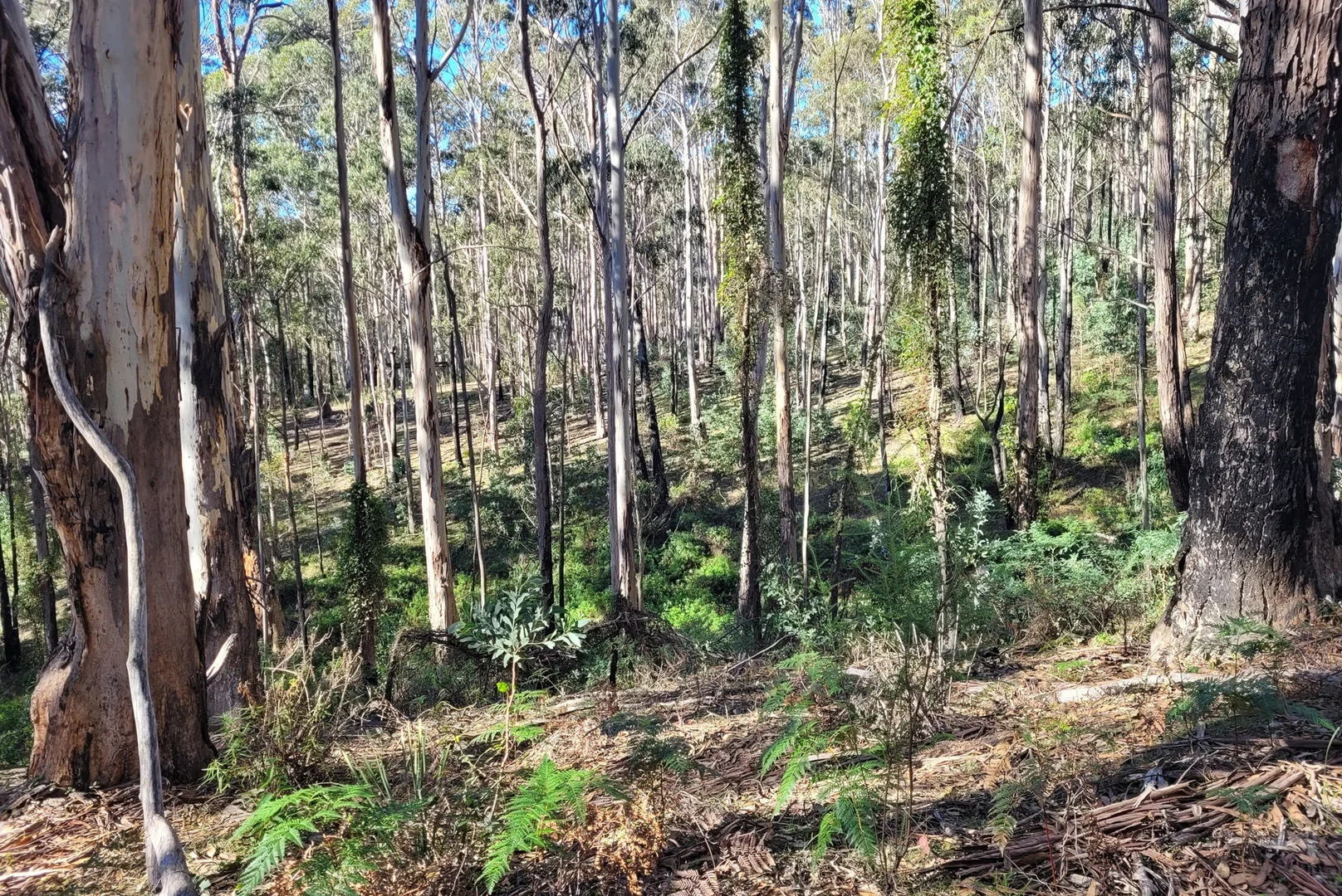 Image 10