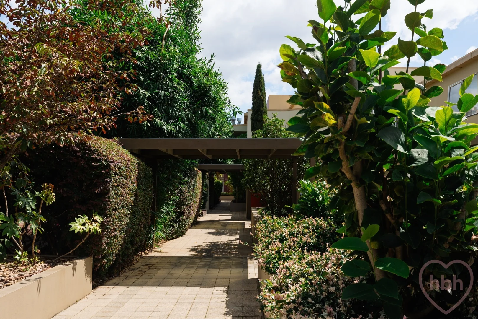 Additional image 26 of 48/12 Challis Street, Dickson ACT 2602