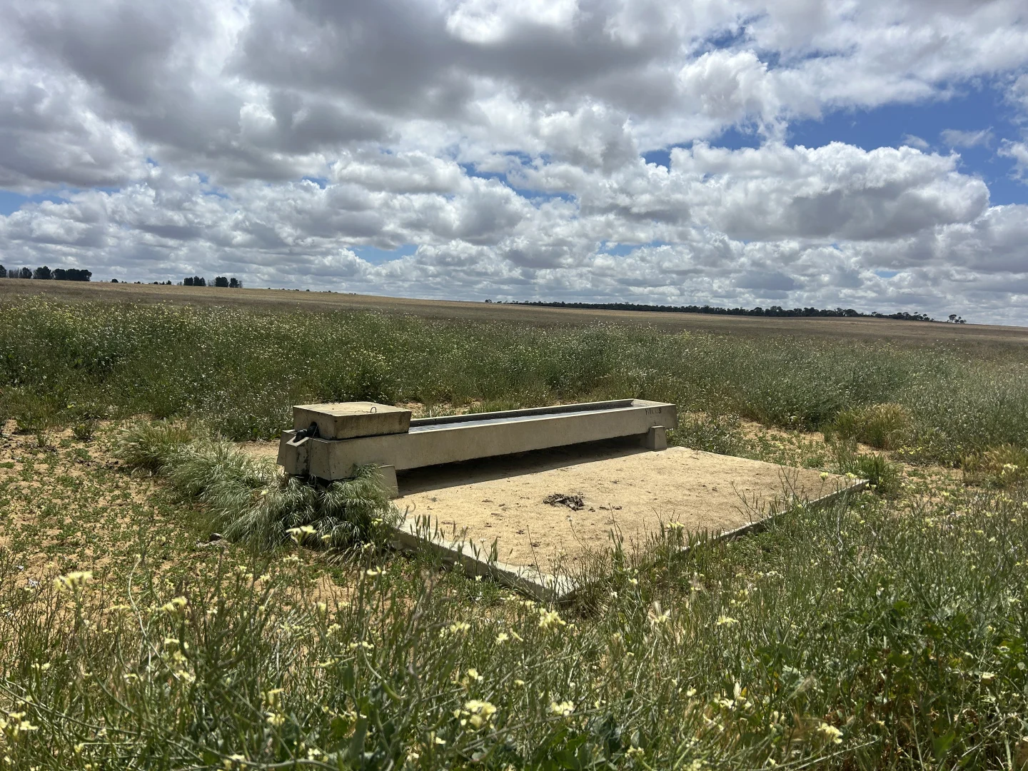 Image 13