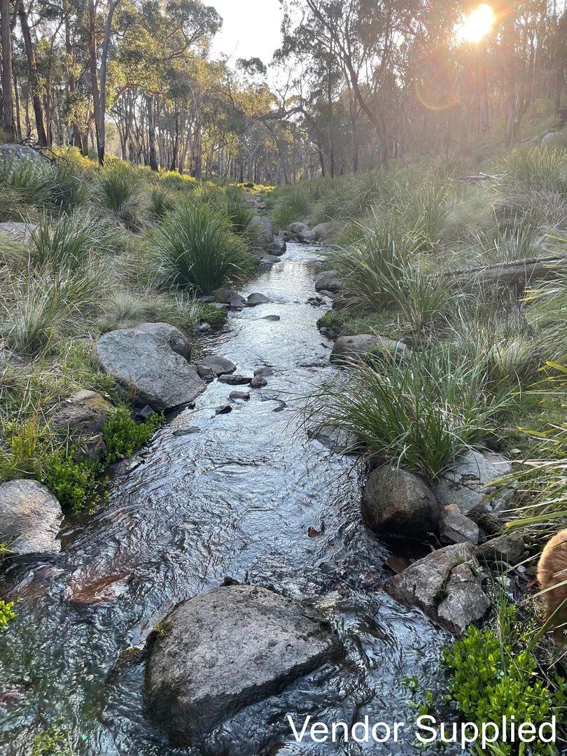 Additional image 17 of 1224 Mount Mckenzie Road, Tenterfield NSW 2372