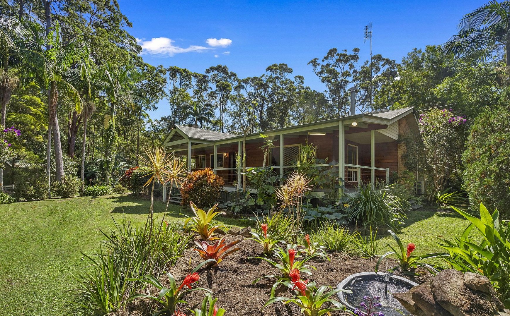 43 Ponderosa Drive, Cooroy QLD 4563 House for Sale Domain