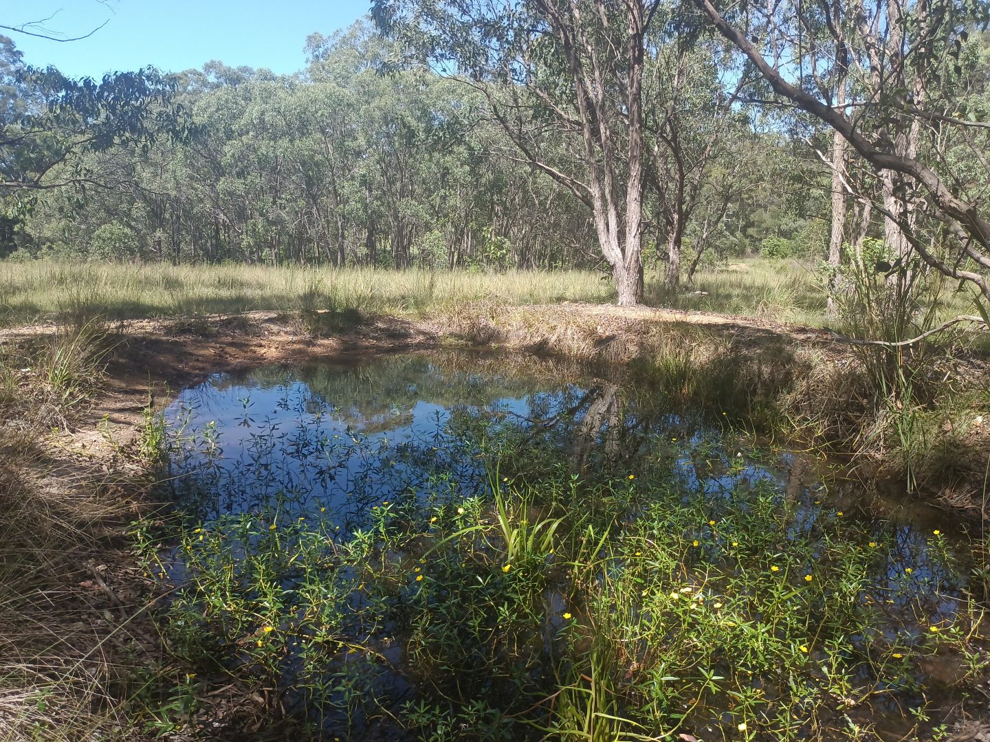 1 Wattle Lane, Tinonee NSW 2430, Image 1