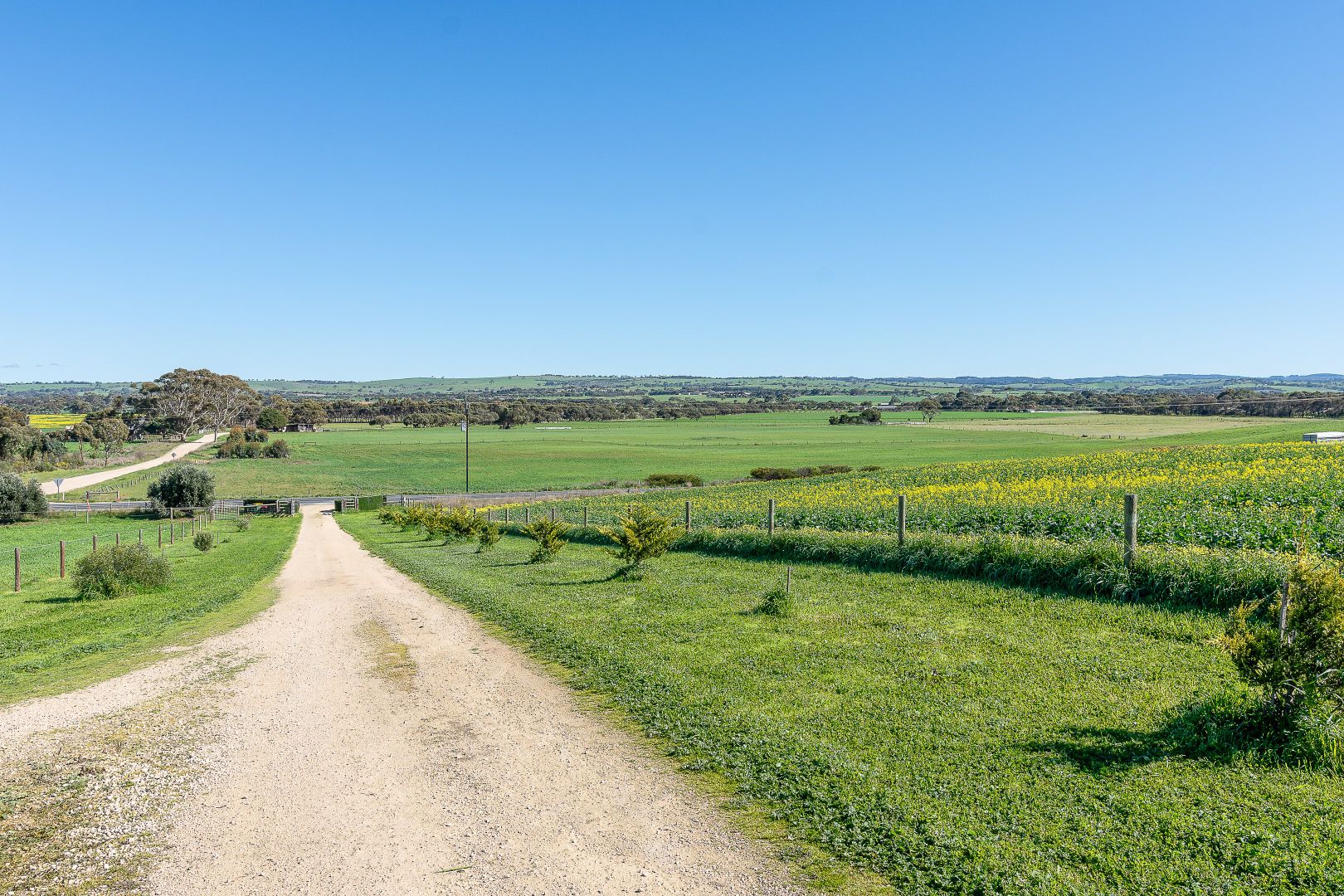 321 Nine Mile Road, Strathalbyn SA 5255, Image 2