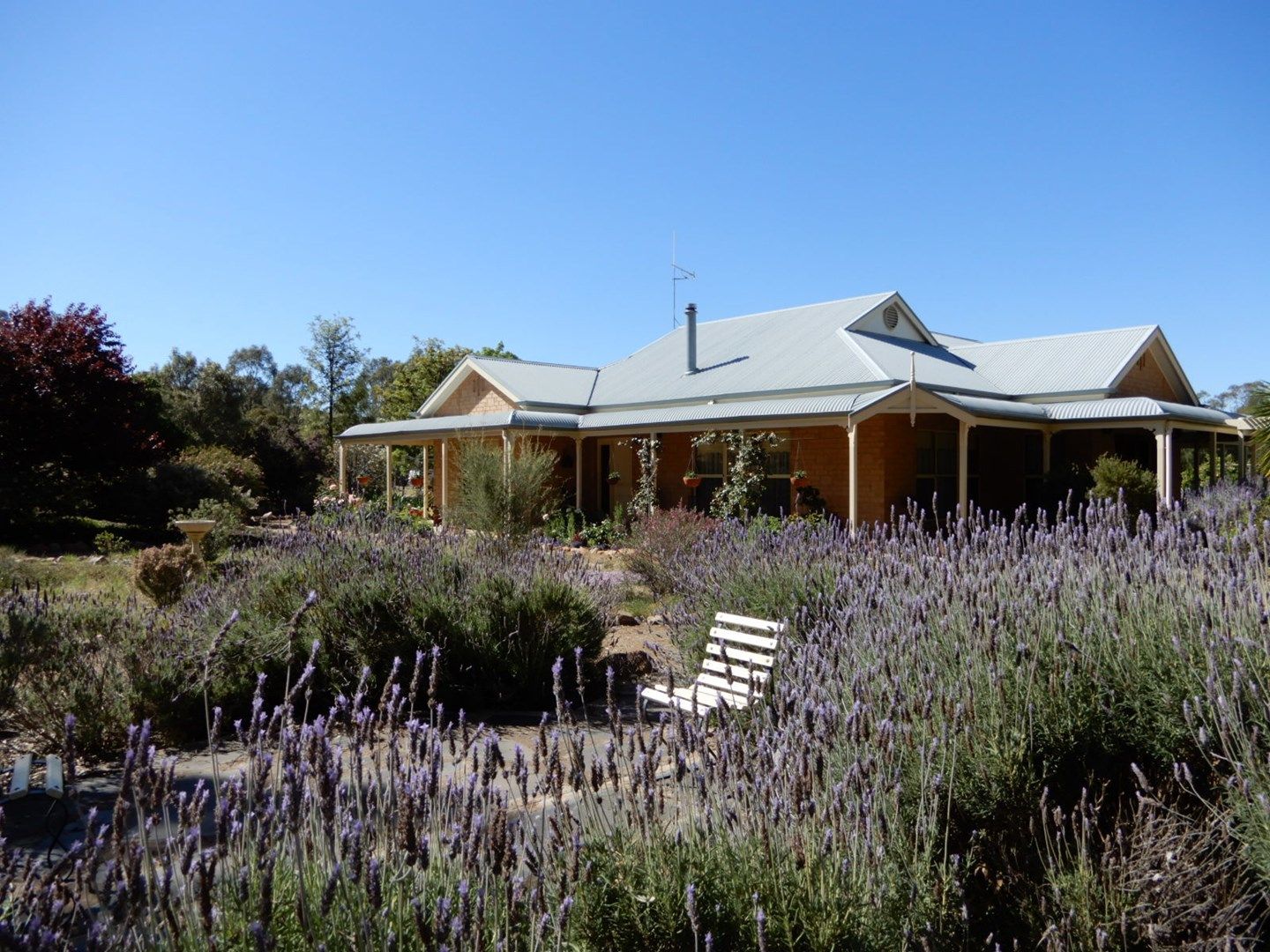 350 Beetaloo Valley Rd, Beetaloo Valley SA 5523, Image 0