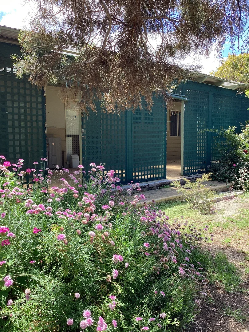 Additional image 57 of 17 Birdwood Street, Hopetoun WA 6348