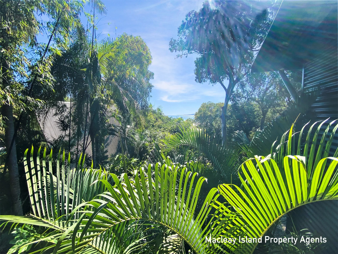 Image 23