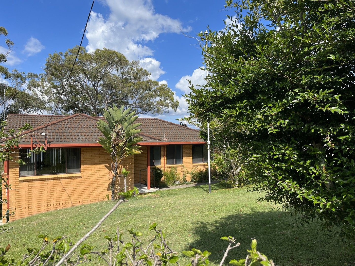 91 Greenpoint Drive, Green Point NSW 2428 House For Rent Domain