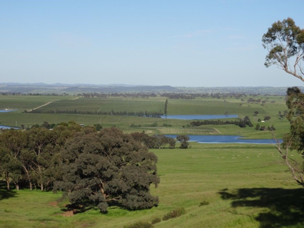 1864-1868 Euchareena Road, Molong NSW 2866, Image 1