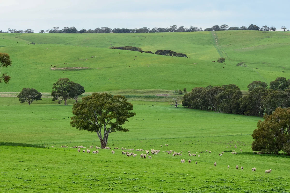 Image 12