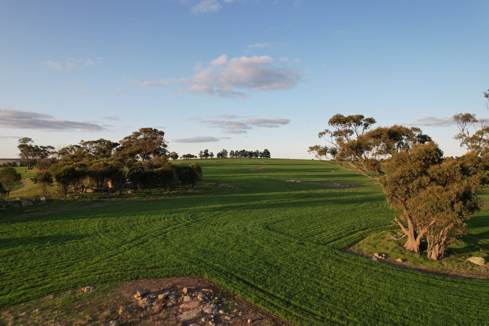 59 Burt Road, Wagin WA 6315 House for Sale 430,000 Domain