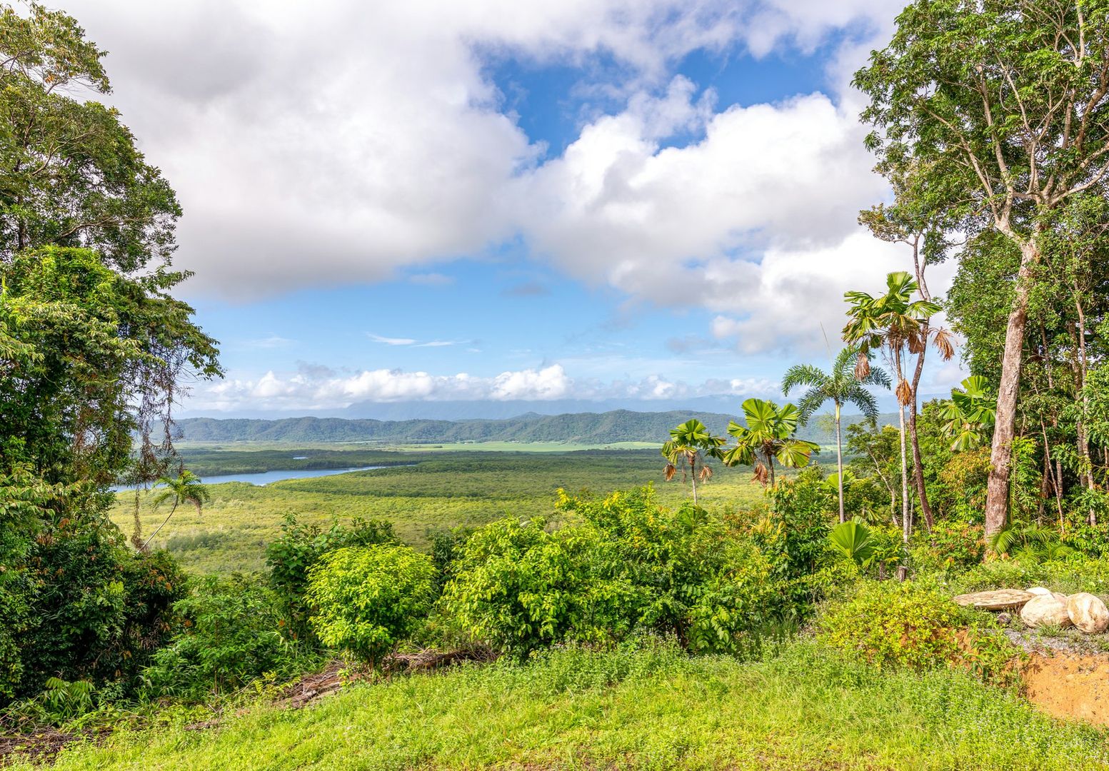 6 Milky Pine Road, Daintree QLD 4873, Image 1