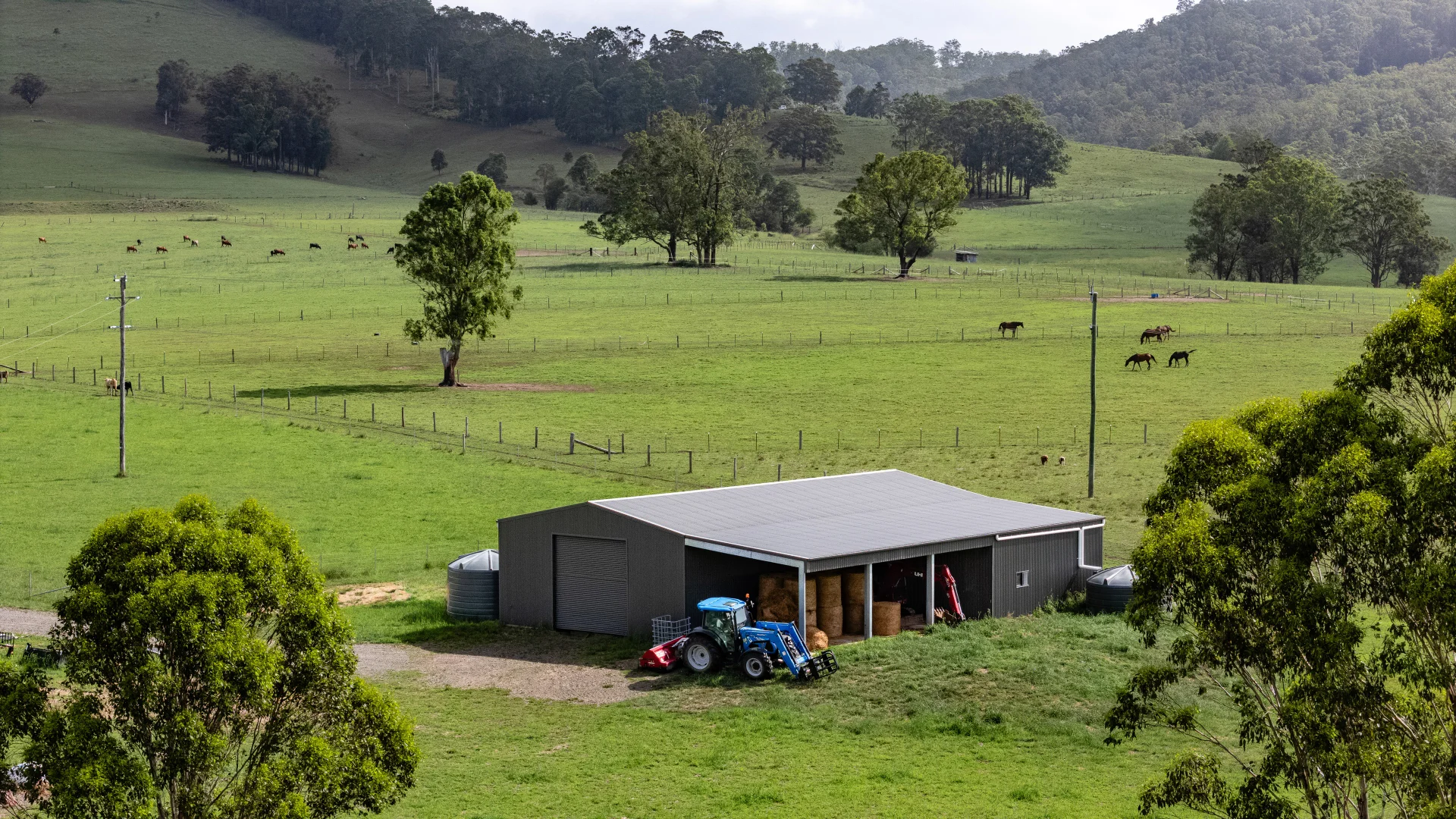 Image 25