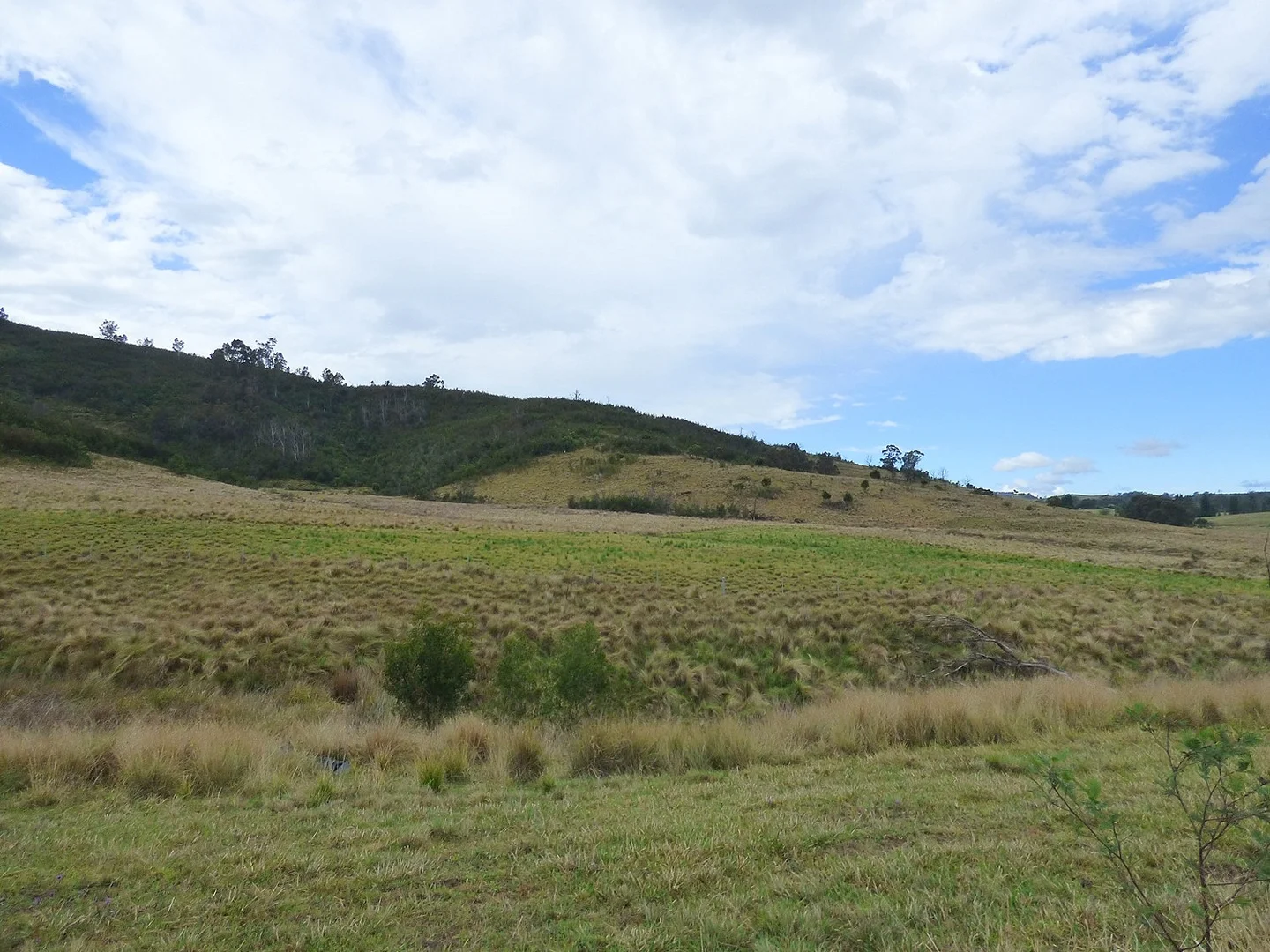 Image 14