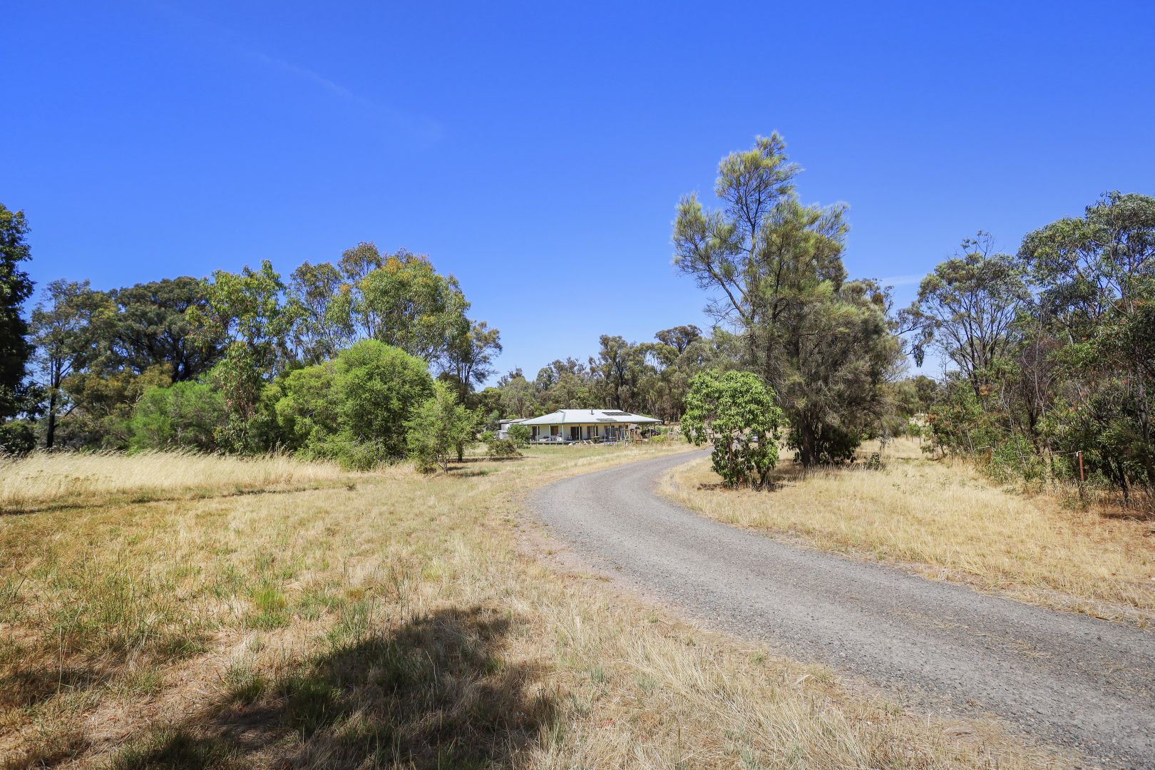 815 Tungamah-Peechelba Rd, Peechelba VIC 3678, Image 1