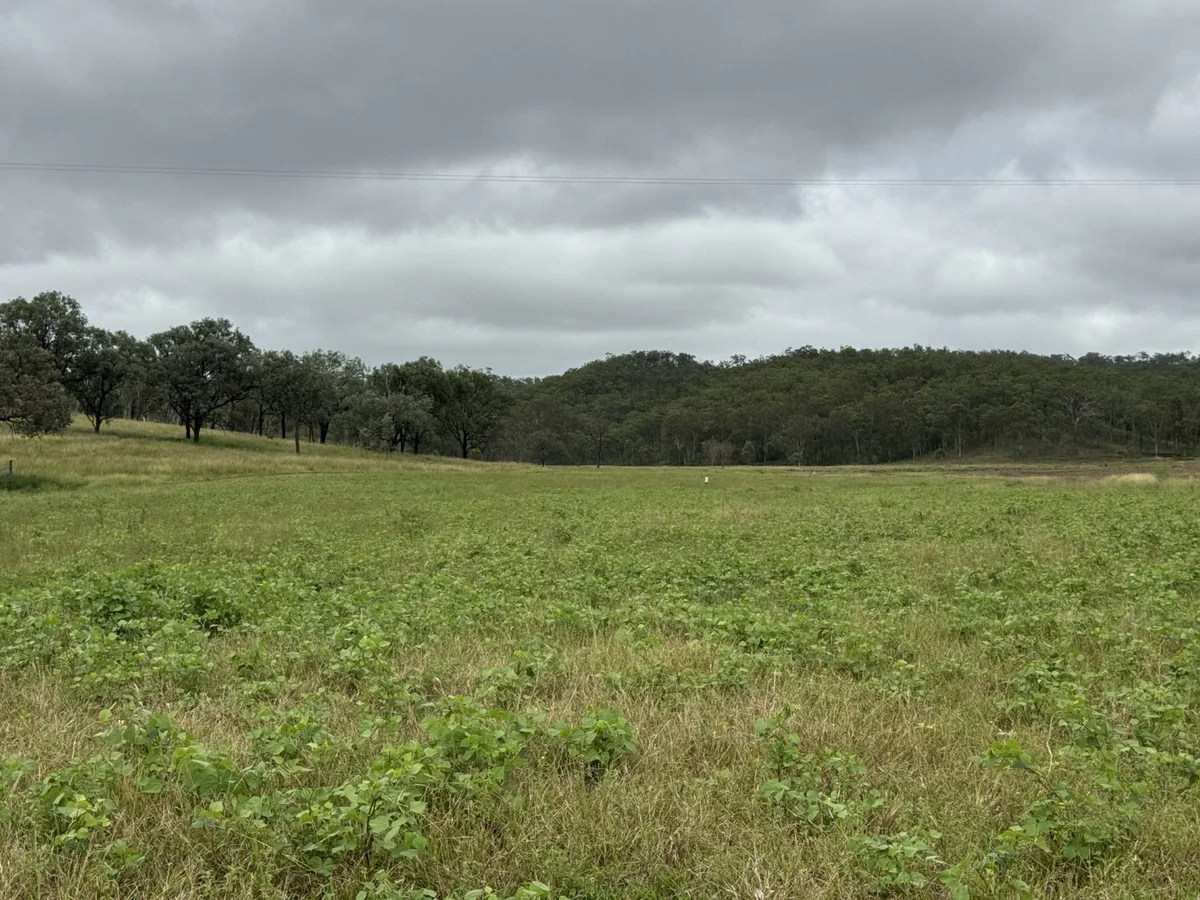 Additional image 20 of 1609 Monal Road, Monto QLD 4630