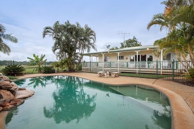 Picture of 82 Cormac Road, KIA ORA QLD 4570