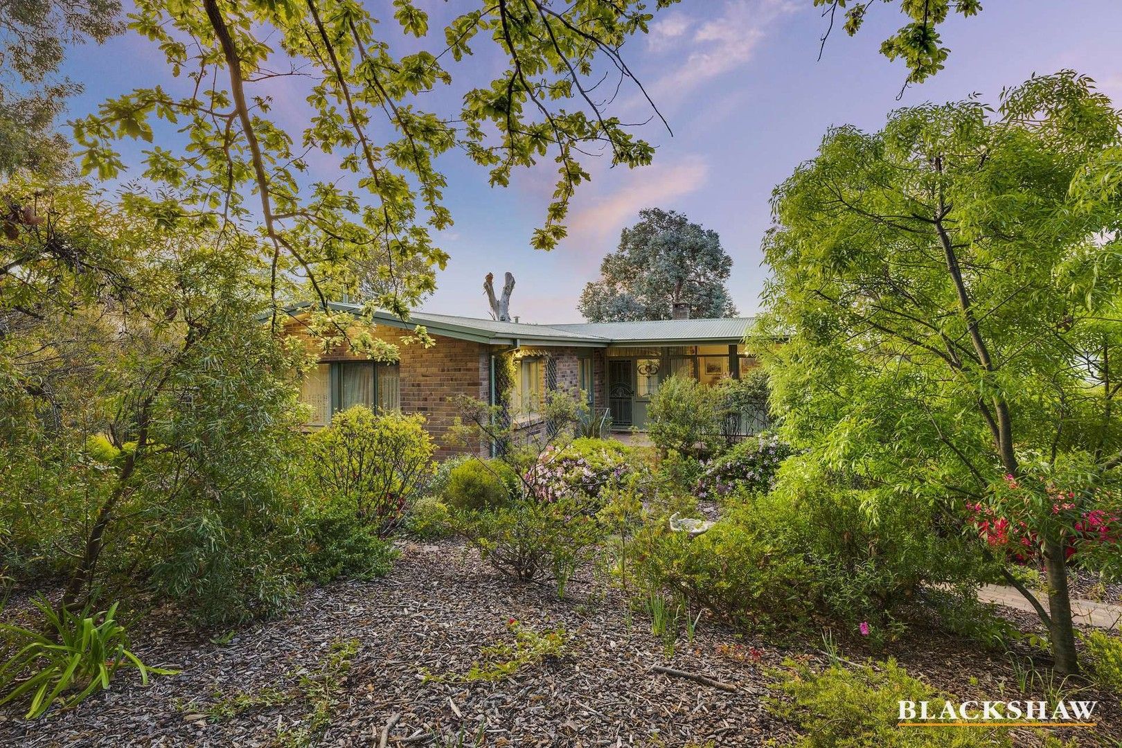 16 Esperance Street, Red Hill ACT 2603, Image 0