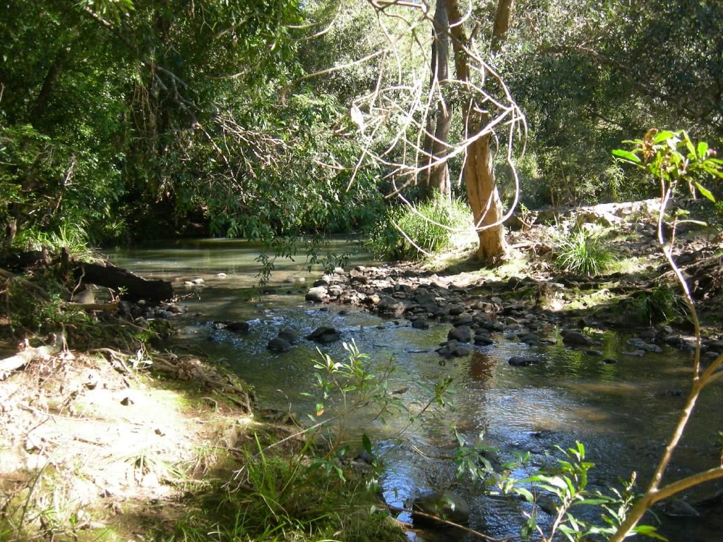 Burrell Creek NSW 2429, Image 0