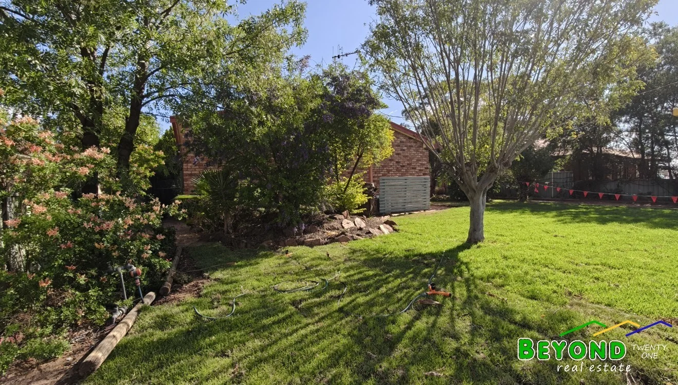 Image 15