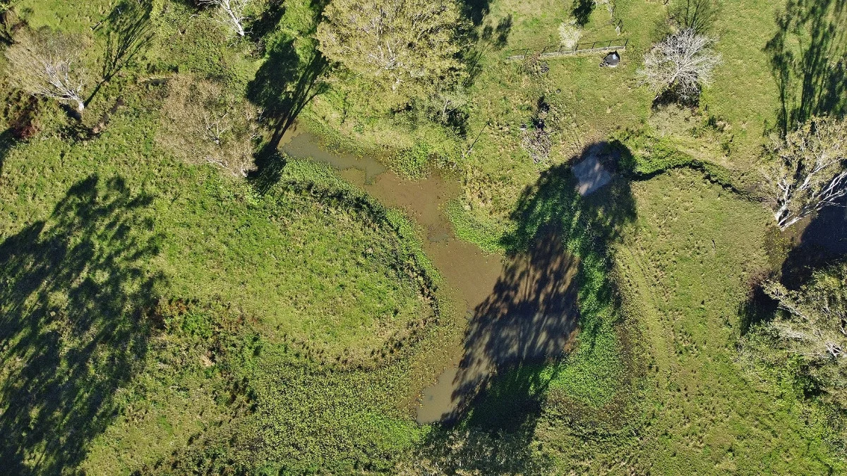 Image 11