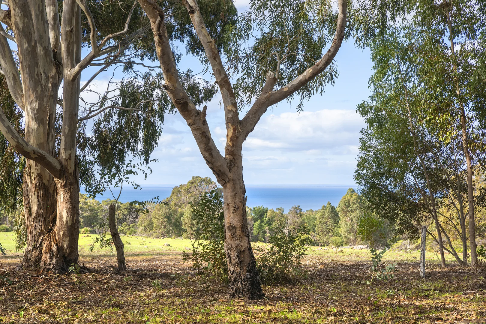 Image 14