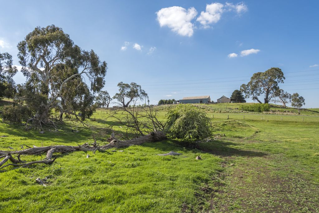 Lot 2, 98 Trio Road, Kyneton VIC 3444, Image 2