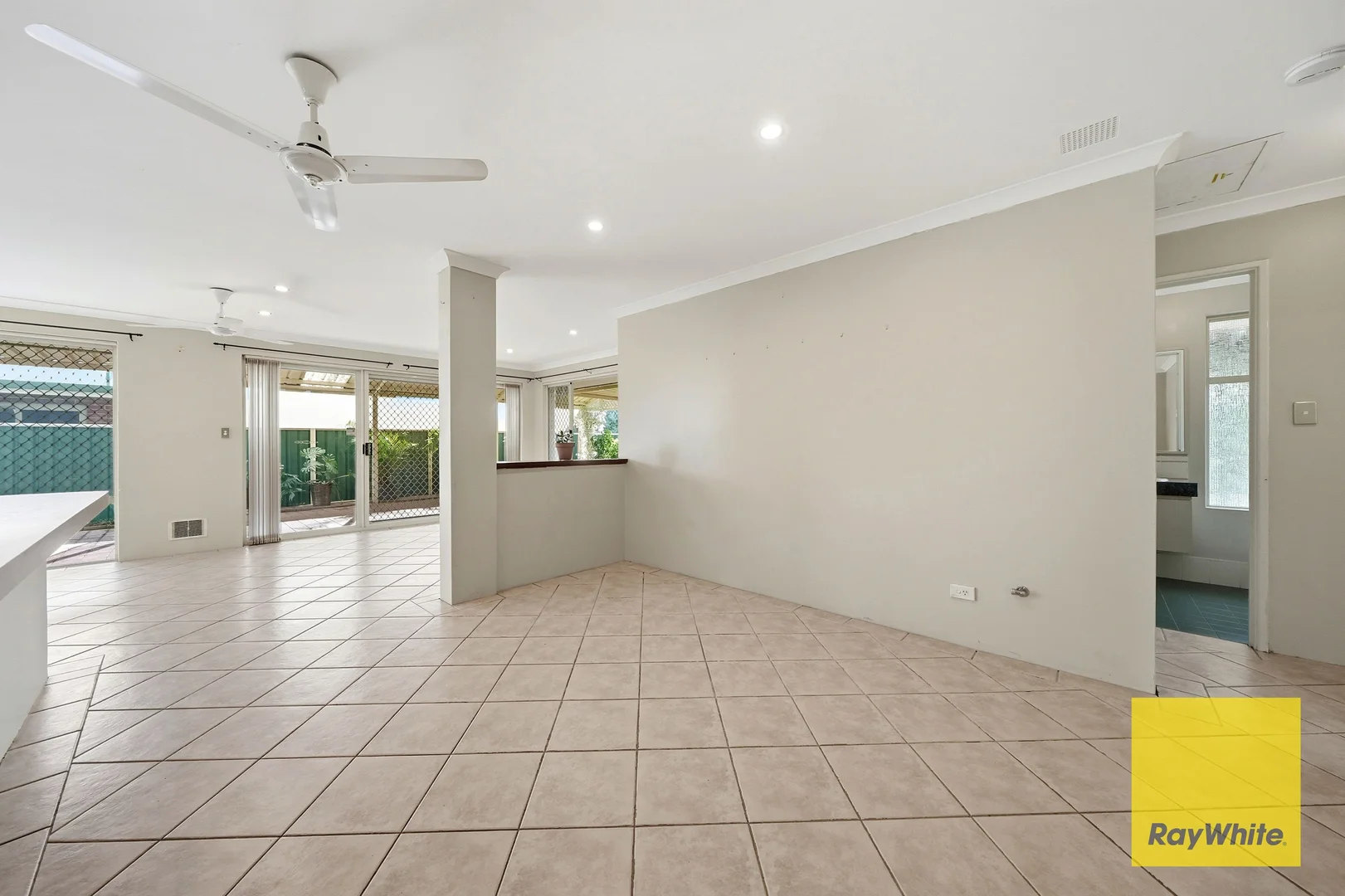 Image 16