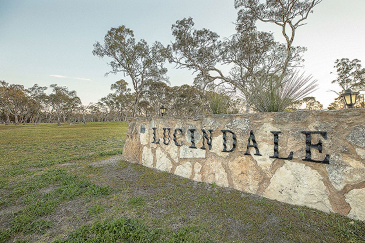 Lot 185 Musgrave Avenue, Lucindale SA 5272 Domain