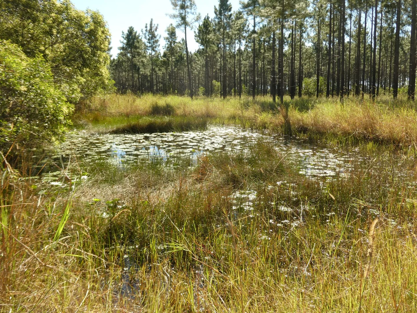 Image 6
