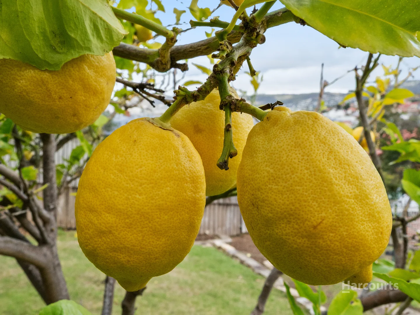 Additional image 35 of 39 Shoobridge Street, Glebe TAS 7000