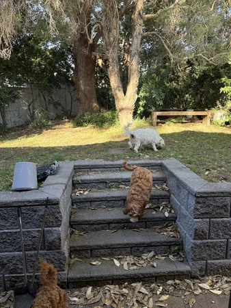 Image 12