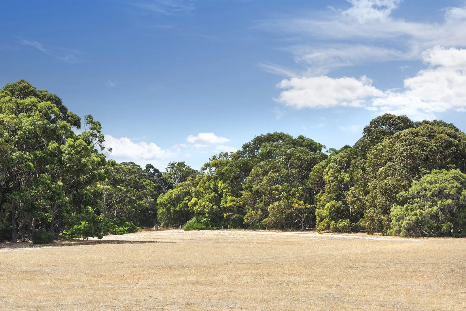 Additional image 8 of Lot 60 Vidler Road, Naturaliste WA 6281