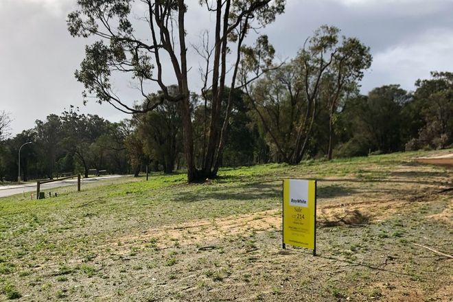 Picture of Lot 214 Olearia Court, GELORUP WA 6230
