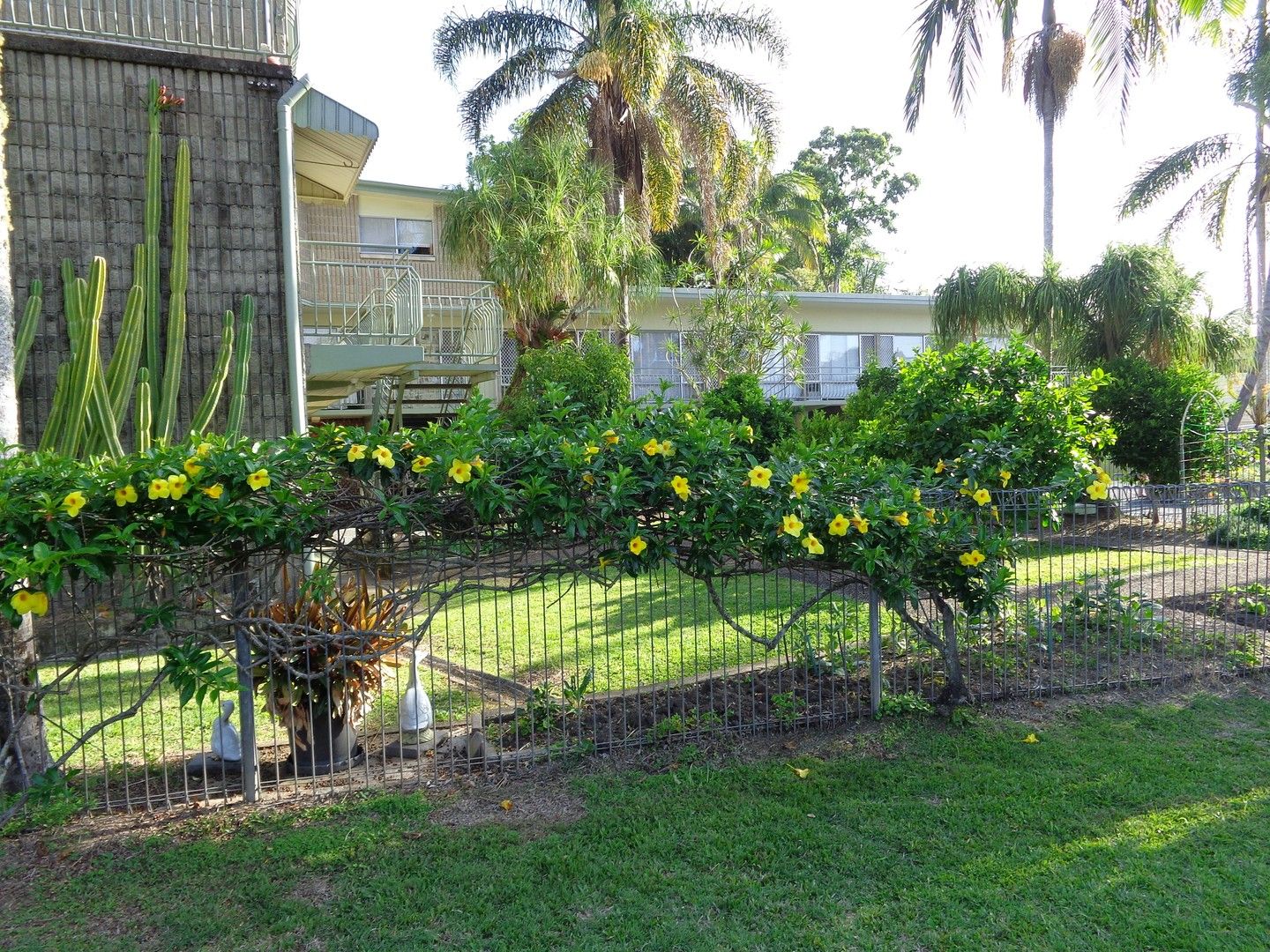 1 bedrooms Apartment / Unit / Flat in  MURWILLUMBAH NSW, 2484