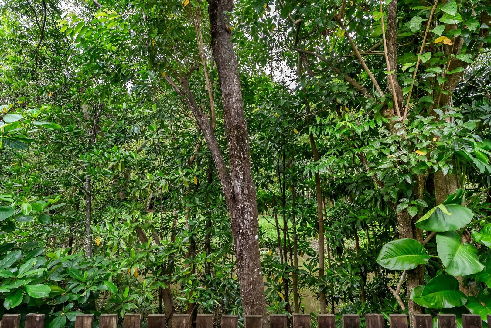 Additional image 13 of 9/34 Springfield Crescent, Manoora QLD 4870