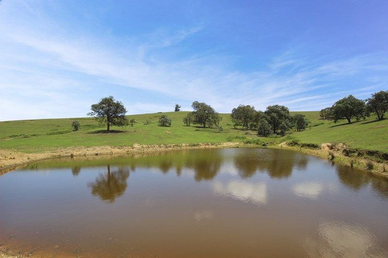 787 Inverary Rd, Paddys River NSW 2577, Image 2