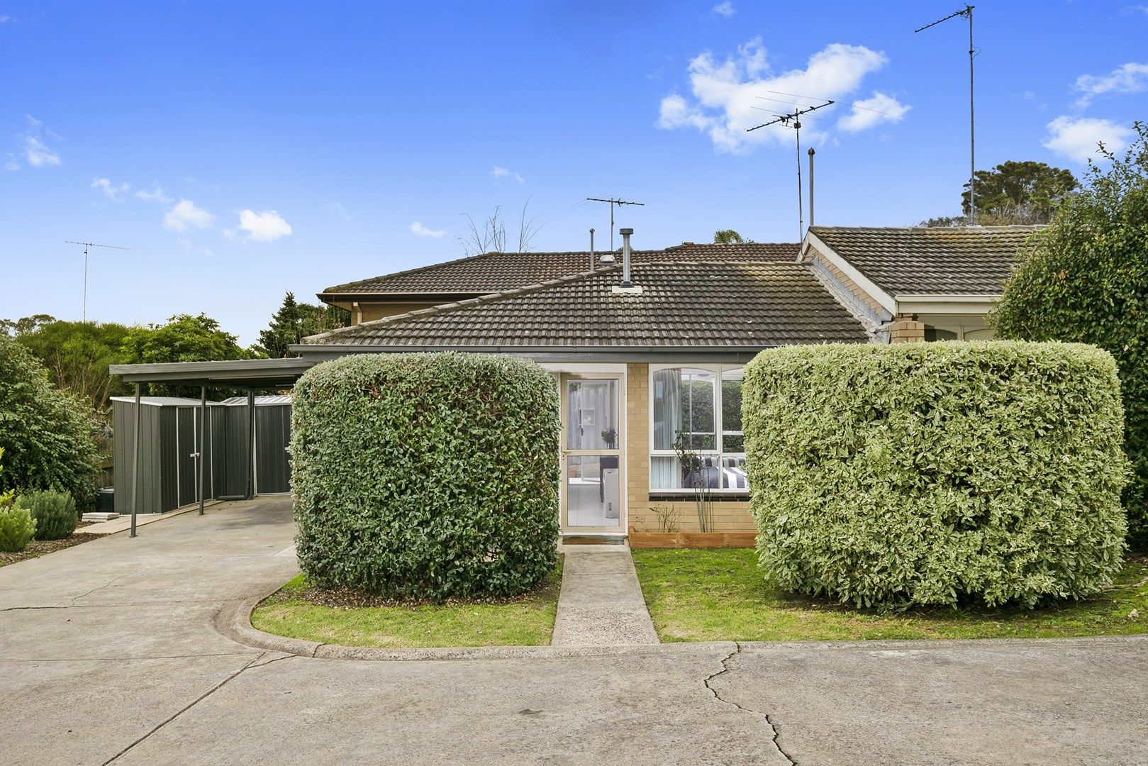 5/56 Iona Avenue, Belmont VIC 3216, Image 0