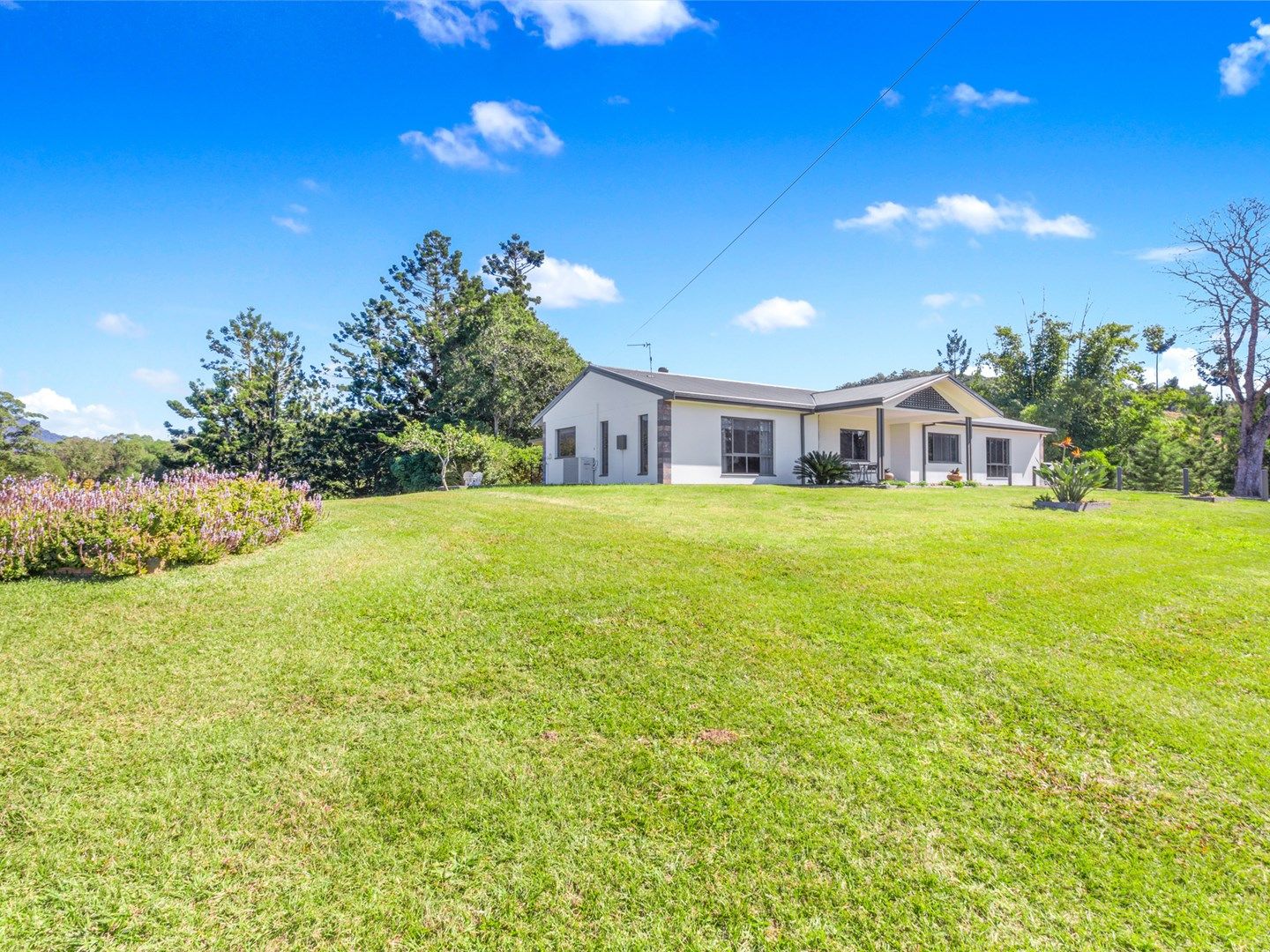 224 TYALGUM ROAD, Eungella NSW 2484, Image 0